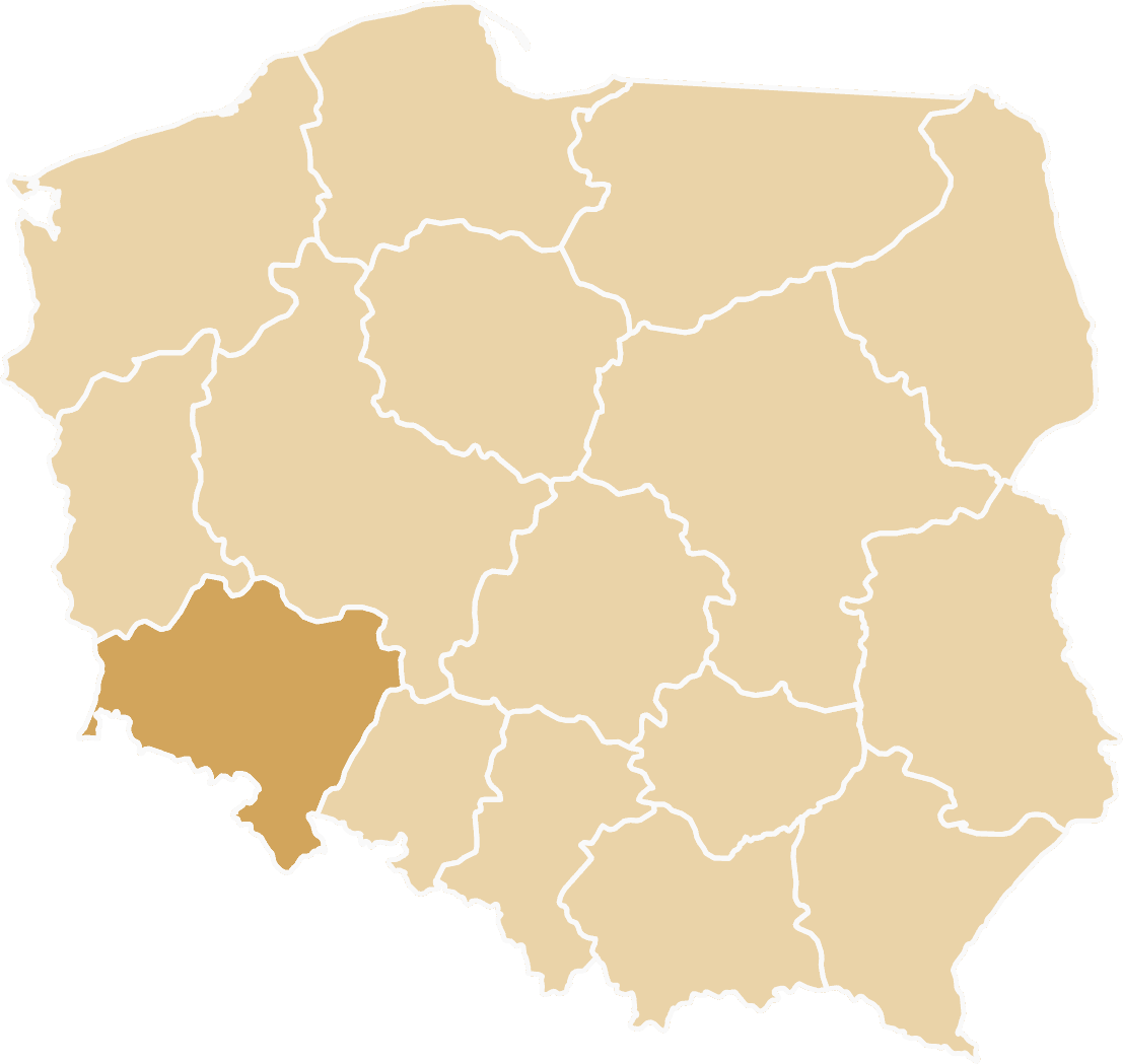 Dostawa samochodu zastępczego na terenie województwa Dolnośląskiego. Rozliczenie OC Sprawcy.