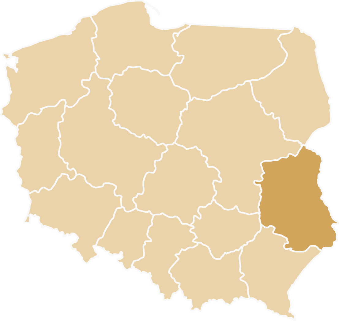 Dostawa samochodu zastępczego na terenie województwa Lubelskiego. Rozliczenie OC Sprawcy.