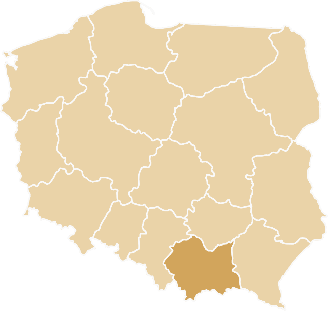 Dostawa samochodu zastępczego na terenie województwa Małopolskiego. Rozliczenie OC Sprawcy.