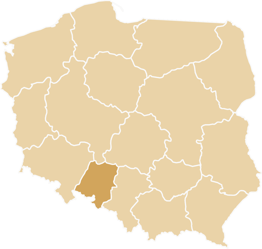Dostawa samochodu zastępczego na terenie województwa Opolskiego. Rozliczenie OC Sprawcy.