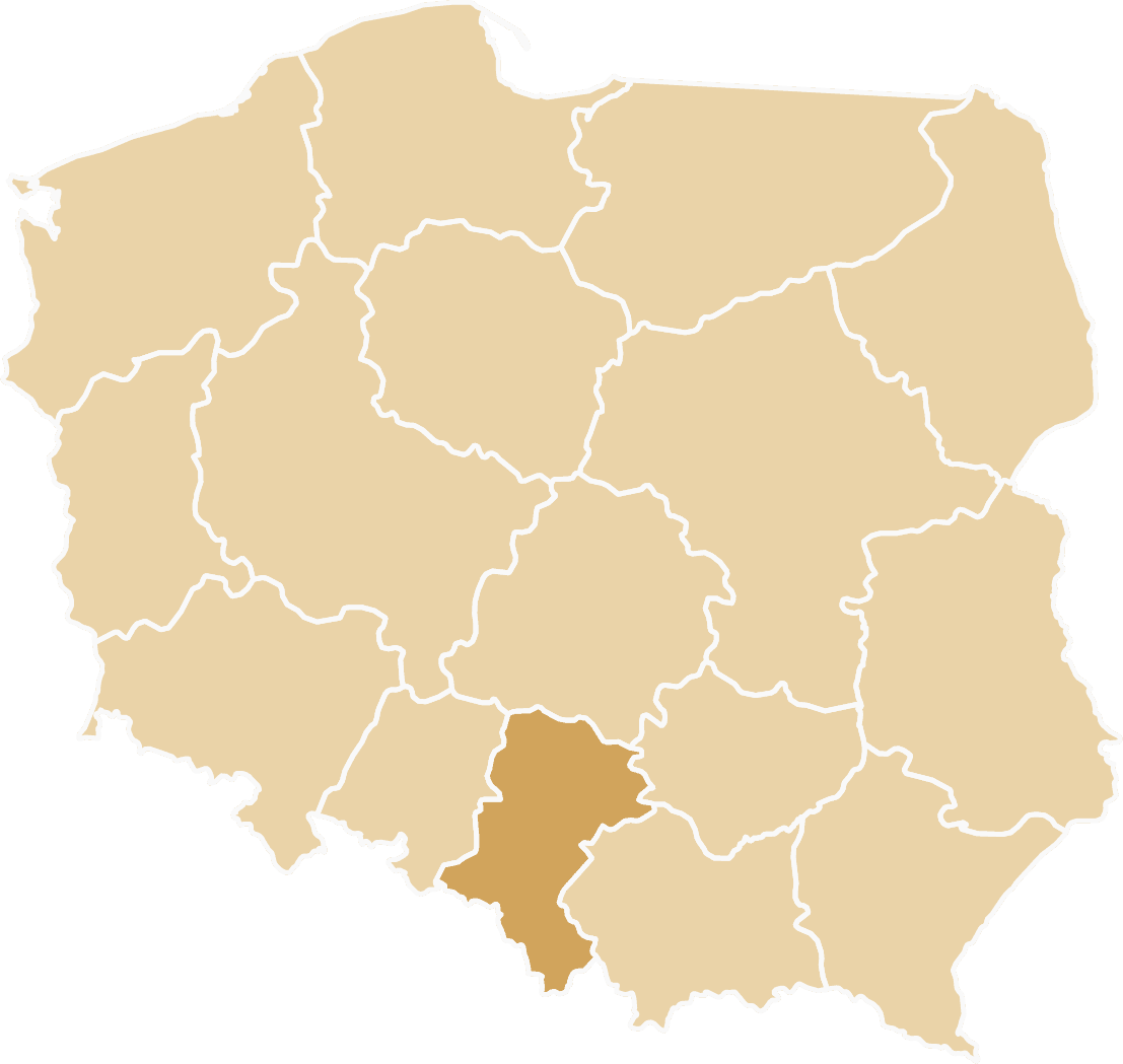 Dostawa samochodu zastępczego na terenie województwa Śląskiego. Rozliczenie OC Sprawcy.