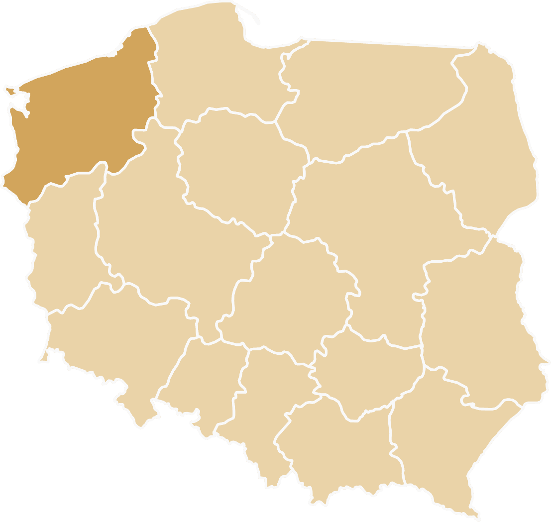 Dostawa samochodu zastępczego na terenie województwa Zachodniopomorskiego. Rozliczenie OC Sprawcy.